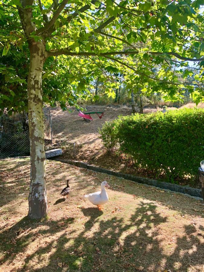 Casa Da Quinta Da Prelada Simao Partie Basse Villa Celorico De Basto Bagian luar foto