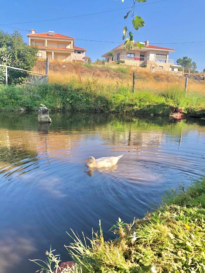 Casa Da Quinta Da Prelada Simao Partie Basse Villa Celorico De Basto Bagian luar foto