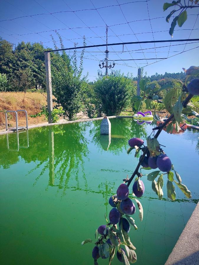 Casa Da Quinta Da Prelada Simao Partie Basse Villa Celorico De Basto Bagian luar foto