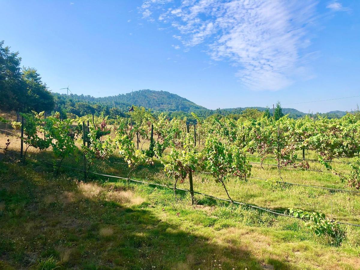 Casa Da Quinta Da Prelada Simao Partie Basse Villa Celorico De Basto Bagian luar foto