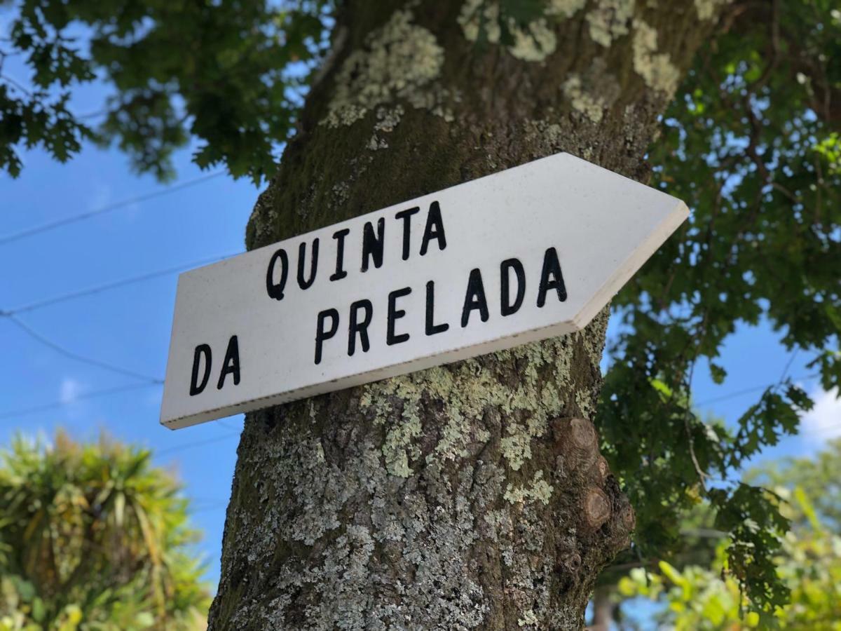 Casa Da Quinta Da Prelada Simao Partie Basse Villa Celorico De Basto Bagian luar foto