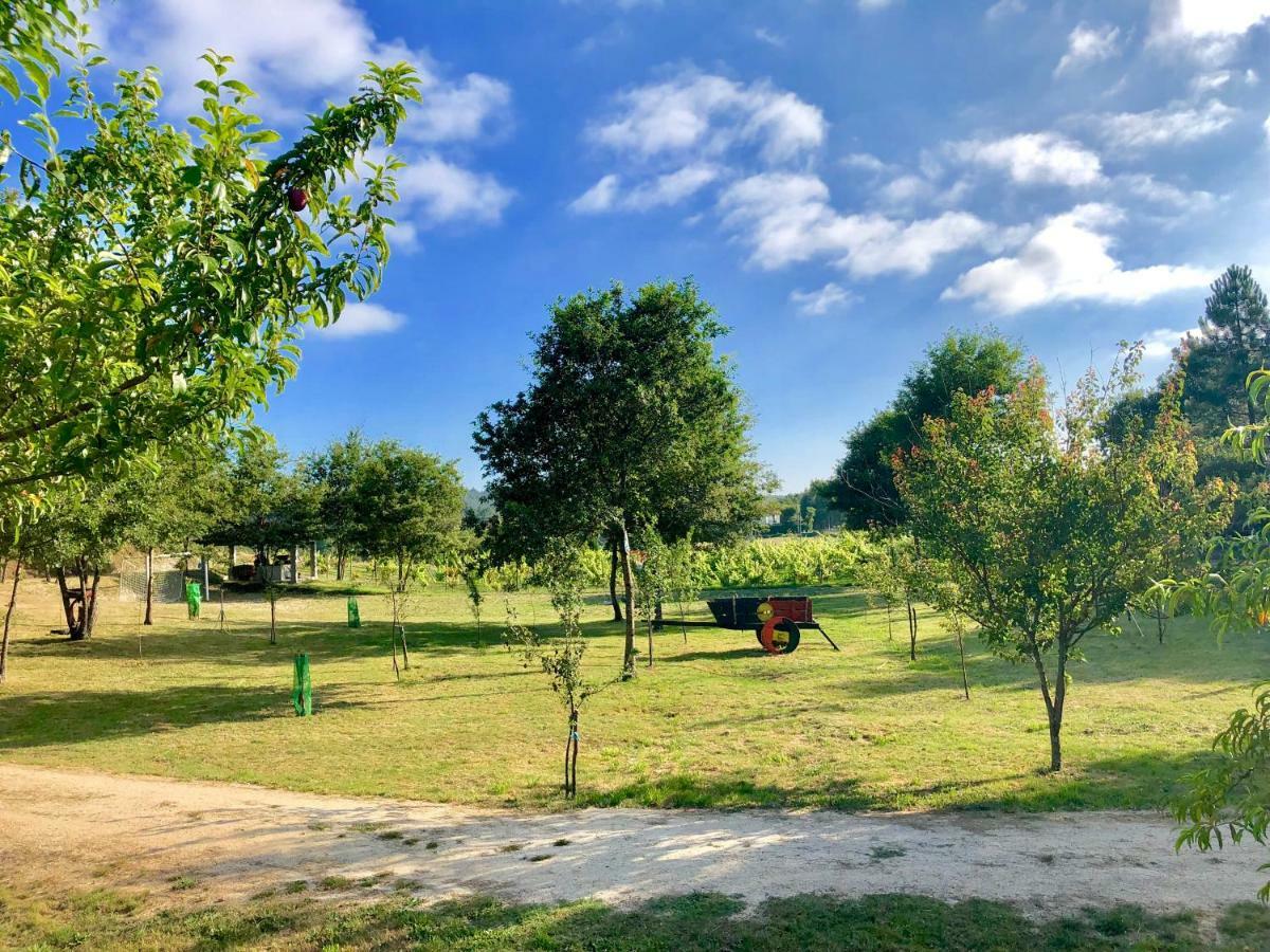 Casa Da Quinta Da Prelada Simao Partie Basse Villa Celorico De Basto Bagian luar foto